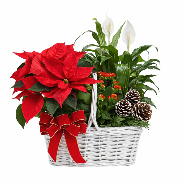 Christmas Plant Basket