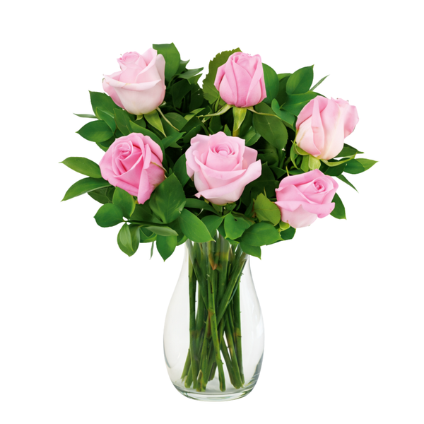 6 Pink Roses