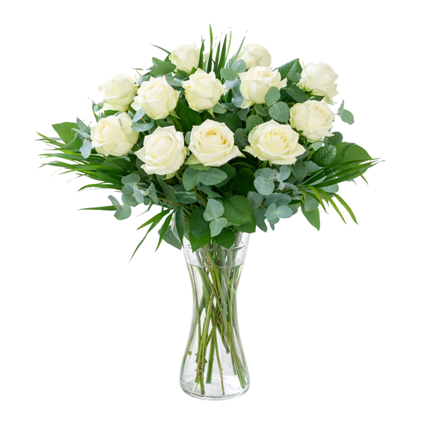 12 White Roses