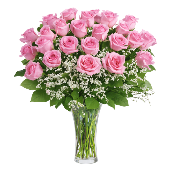 Two Dozen Pink Roses